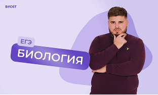 Химия БУСТ годовой