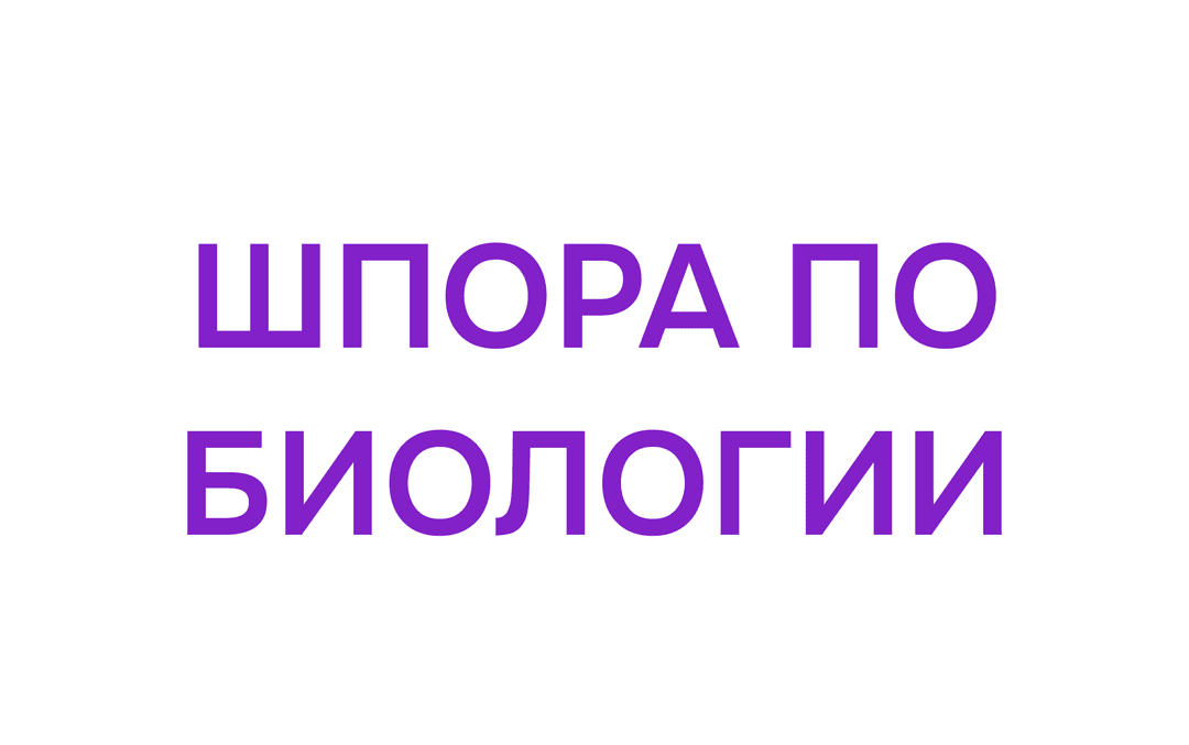 Шпора по Биологии